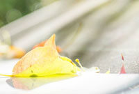 浪潮中继续 浪潮中继续