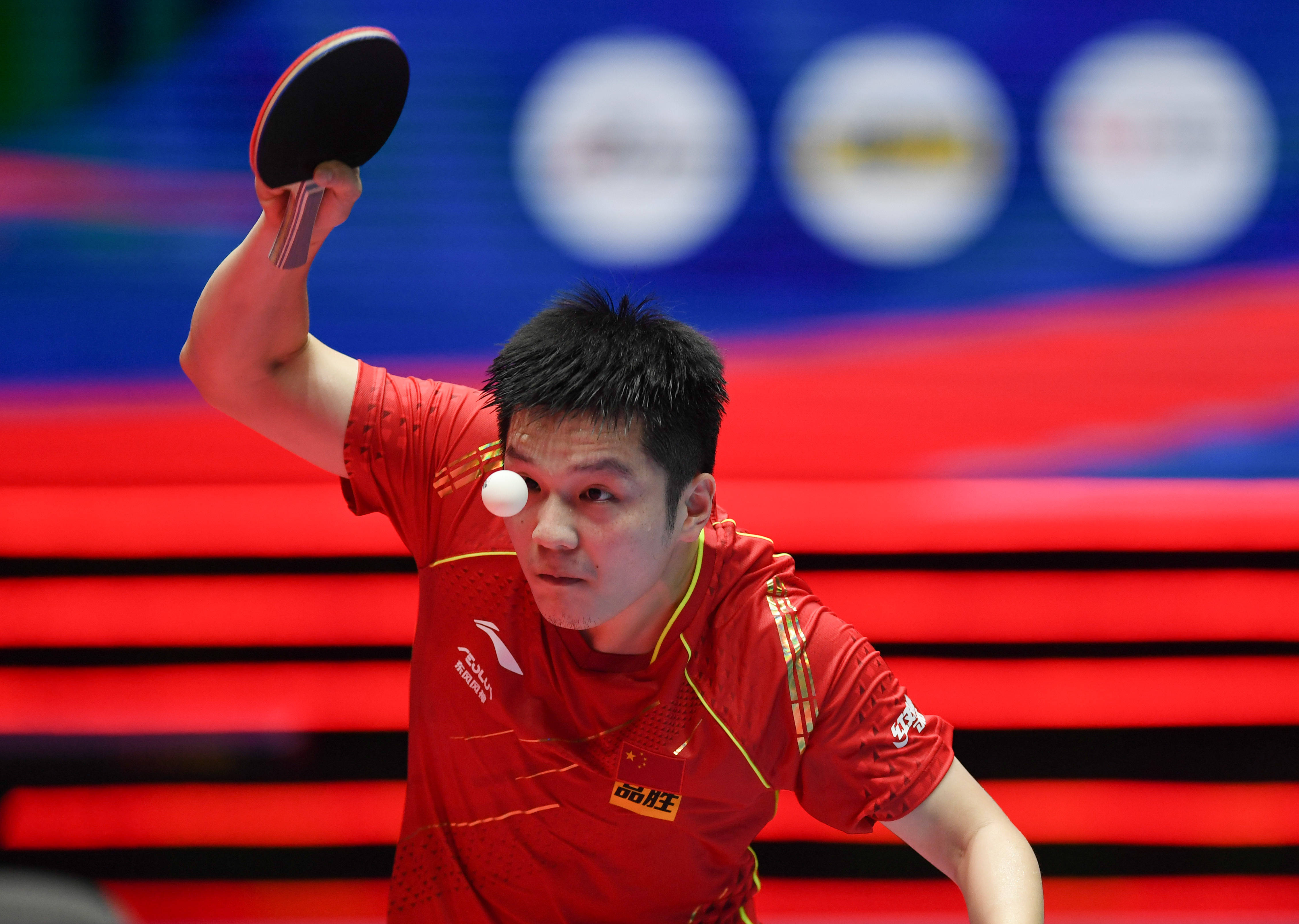 他们展示实 他们展示实